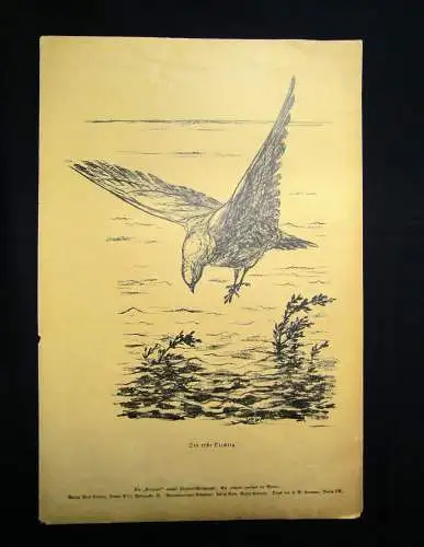 Cassirer Kriegszeit Künstlerflugblätter Nr.61 4 Original Lithographien 1916