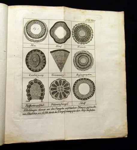 Katechismus der Natur, Martinet, 1779, zahlreiche Kupfertafeln, Aufklärung