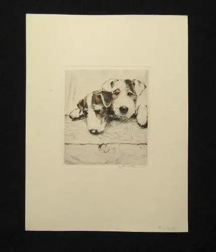 Neumann teilkolorierte Radierung süße Terrier um 1910 10 x 11 cm signiert