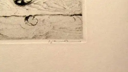 Neumann teilkolorierte Radierung süße Terrier um 1910 10 x 11 cm signiert