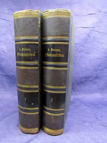 Kerner Pflanzenleben 2 Bde. Gestalt und Leben der Pflanze u.a. 1896/98 Botanik