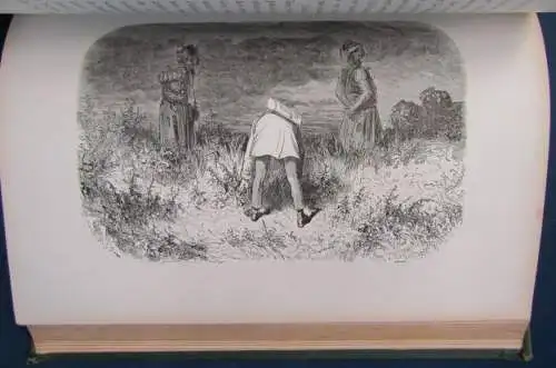 Le Roi Des Montagnes Par Edmond About 1861 König der Berge Gustav Dore js