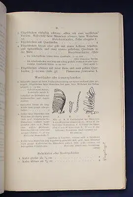 Weidner Bestimmungstabellen der Vorratsschädlinge Hausungeziefer 171 Abb. js