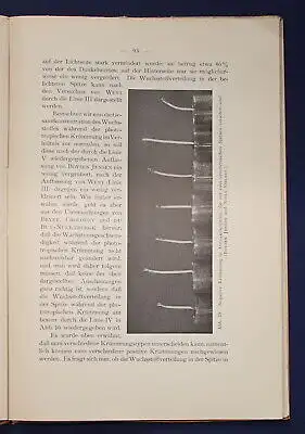 Jensen Die Wuchsstofftheorie und ihre Bedeutung Analyse der Pflanzen Natur js