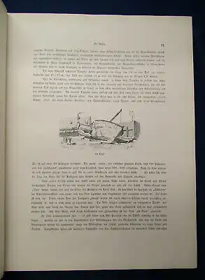Hoefer Küstenfahrten an der Nord- und Ostsee um 1880 Original Ausgabe sf