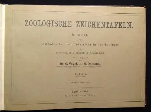 Vogel,Ohmann Zoologische Zeichentafeln 3 Hefte komplett 1892-93 54 Tafeln gesamt