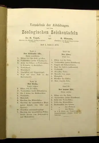 Vogel,Ohmann Zoologische Zeichentafeln 3 Hefte komplett 1892-93 54 Tafeln gesamt