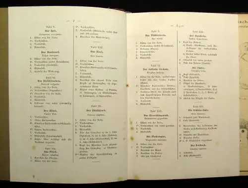 Vogel,Ohmann Zoologische Zeichentafeln 3 Hefte komplett 1892-93 54 Tafeln gesamt
