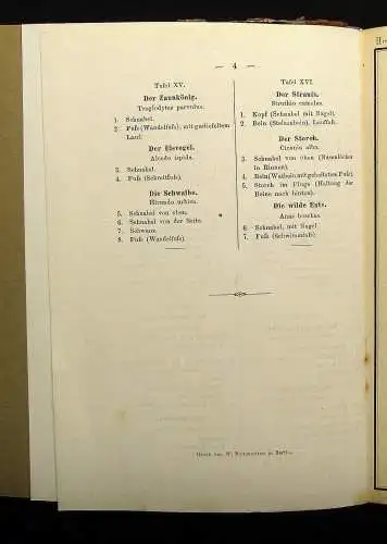 Vogel,Ohmann Zoologische Zeichentafeln 3 Hefte komplett 1892-93 54 Tafeln gesamt