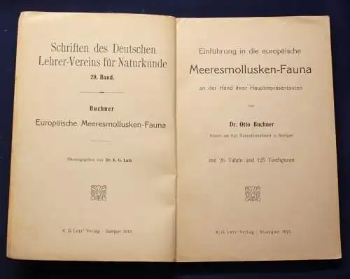 Buchner Einführung in die europäische Meeresmollusken- Fauna 1913 Weichtiere js