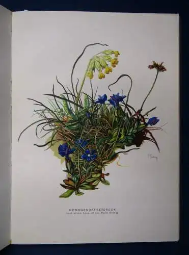  Fünfzig Jahre Gremium Gedenkschrift  Bestandsfeier Lithographen 1934 js