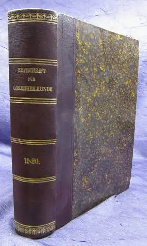 Knapp/ Moos Zeitschrift für Ohrenheilkunde 19.& 20. Band 1889 Medizin Wissen sf
