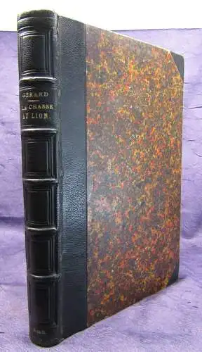 Gerhard La Chasse Au Lion 1855 Abenteuer Reise Afrika Löwenjagd Expedition sf