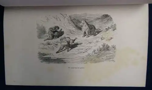 Gerhard La Chasse Au Lion 1855 Abenteuer Reise Afrika Löwenjagd Expedition sf