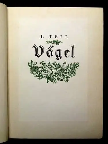 Vetterli Wald und Wild Belletrsitik Geschichten Waldgeschichten 1928 Erzählungen