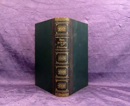 Scherr Allgemeine Geschichte der Literatur 1 Handbuch in 2 Bänden 1875 mb