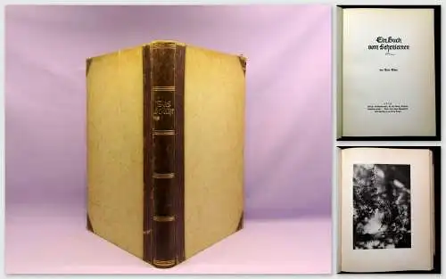 Elven Das Gesicht Ein Buch vom Sehenlernen 1936 Natur Botanik Tiere Tierleben