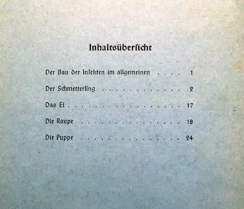 Schreibers kleine Atlanten Der Bau der Schmetterlinge Entwicklungsstadien 1925
