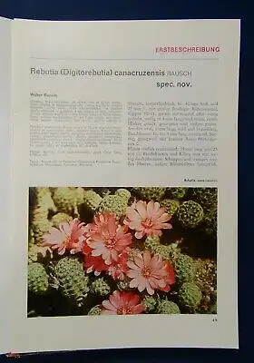 Kakteen und andere Sukkulenten Hefte 1-11(1975) 1-6 (1976) Botanik  js