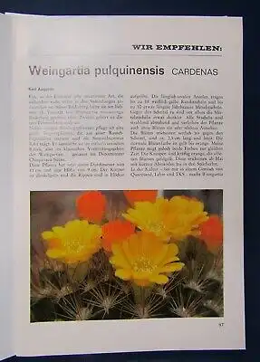 Kakteen und andere Sukkulenten Hefte 1-11(1975) 1-6 (1976) Botanik  js