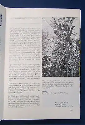 Kakteen und andere Sukkulenten Hefte 1-11(1975) 1-6 (1976) Botanik  js