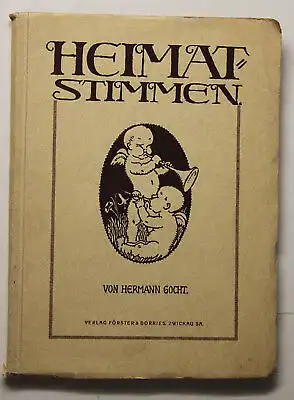 Gocht Heimat -Stimmen um 1920 Erinnerungen Geschichte Sachsen mit Zeichnungen sf