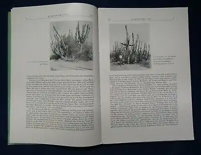 Kakteenkunde Lieferung 1-3 1941 Botanik Natur Forschung Phytologie Lehre js