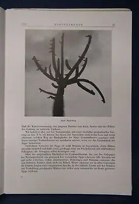 Kakteenkunde Lieferung 1-3 1941 Botanik Natur Forschung Phytologie Lehre js