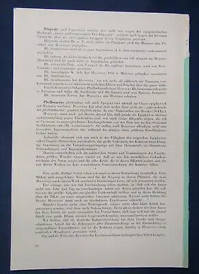 Cactaceae Jahrbücher der Deutschen Kakteengesellschaft E. V. 1939 2 Hefte js