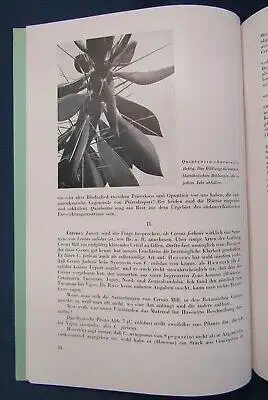 Cactaceae Jahrbücher der Deutschen Kakteengesellschaft E. V. 1939 2 Hefte js