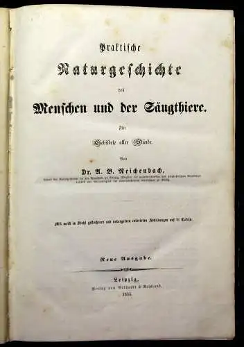 Reichenbach Praktische Naturgeschichte der Menschen und Säugethiere 1855