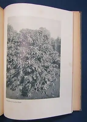 Kretzen Zwischen Parana und Tiete 1930 Tiere u. Menschen im Urwald  js
