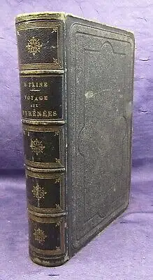 Taine Voyage Aux Pyrenees 1860 Illustration von Gustav Dore Belletristik js