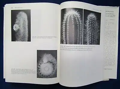 Backeberg Das Kakteenlexikon 1976 Enumeratio diagnostica Cactacearum Botanik  js
