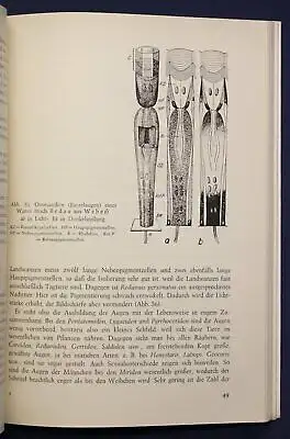 Jordan Landwanzen 1962 Naturwissenschaften Schädlinge Tiere Wissen Studium sf