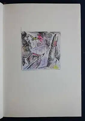 Schultze Sperriger Zaunaus Zeit 1976 Emeriten-Presse Erstausgabe sf