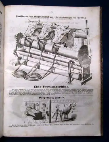 Kladderadatsch in London 8 Hefte komplett, vorgebunden, 64 Hefte in 1 1850/51 sf