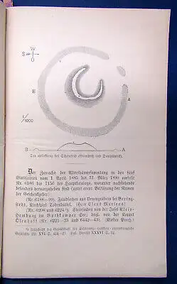 39. Bericht des Schleswig-Holsteinischen Museums 1890 Alterthum Geschichte sf