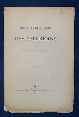Gerassimoff Ueber die Lage und die Function Des Zellkerns 1900 unaufgesch. js