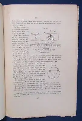 Gerassimoff Ueber die Lage und die Function Des Zellkerns 1900 unaufgesch. js