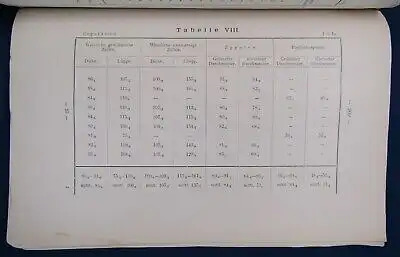 Gerassimow Ueber den Einfluss des Kerns Auf das Wachstum der Zelle 1901 js
