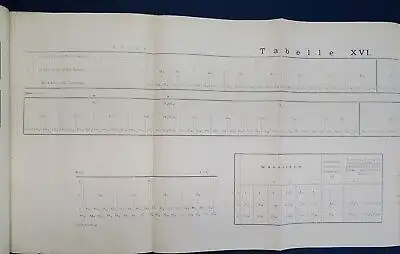 Gerassimow Ueber den Einfluss des Kerns Auf das Wachstum der Zelle 1901 js