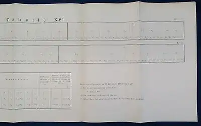 Gerassimow Ueber den Einfluss des Kerns Auf das Wachstum der Zelle 1901 js