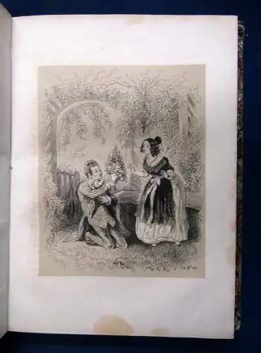 Hoffmann Gesammelte Schriften. 12 Bde 1844-1845 Belletristik Klassiker Roman sf