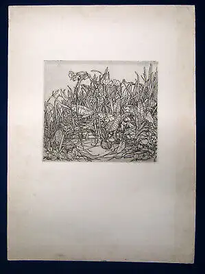 Hans Hammer Radierung "Wiesenstück mit Blumen" um 1930 Verso mit Widmung sf