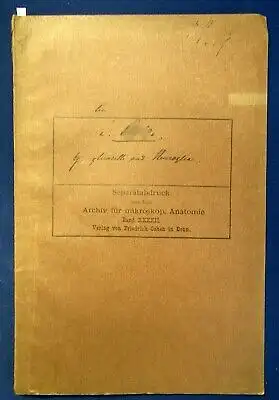 Rohde Ganglienzelle und Neuroglia Tafel XXVI Band XXXXII Mikroskopie o.J. js