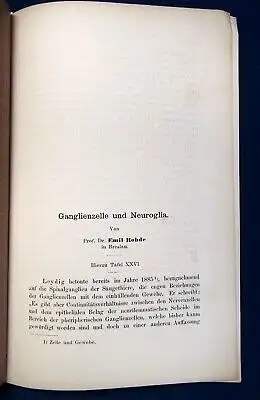 Rohde Ganglienzelle und Neuroglia Tafel XXVI Band XXXXII Mikroskopie o.J. js