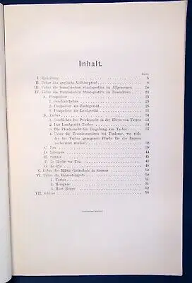 Zur französischen Pferdezucht Bericht Studium der Pferdezucht 1903  js