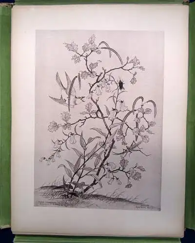 Japanische Tuschzeichnungen des Mizzugoro in Hiogo 1885 Kunst Geschichte sf