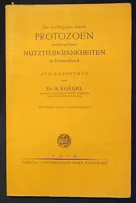 Koegel die wichtigsten durch Protozoen verursachten Nutztierkrankheiten 1926 js